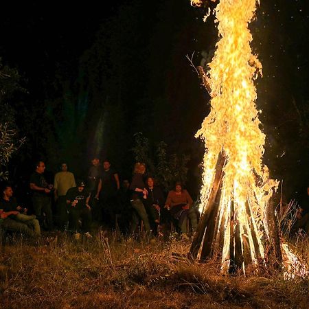 Hotel Conacul Bunicilor Novaci Zewnętrze zdjęcie