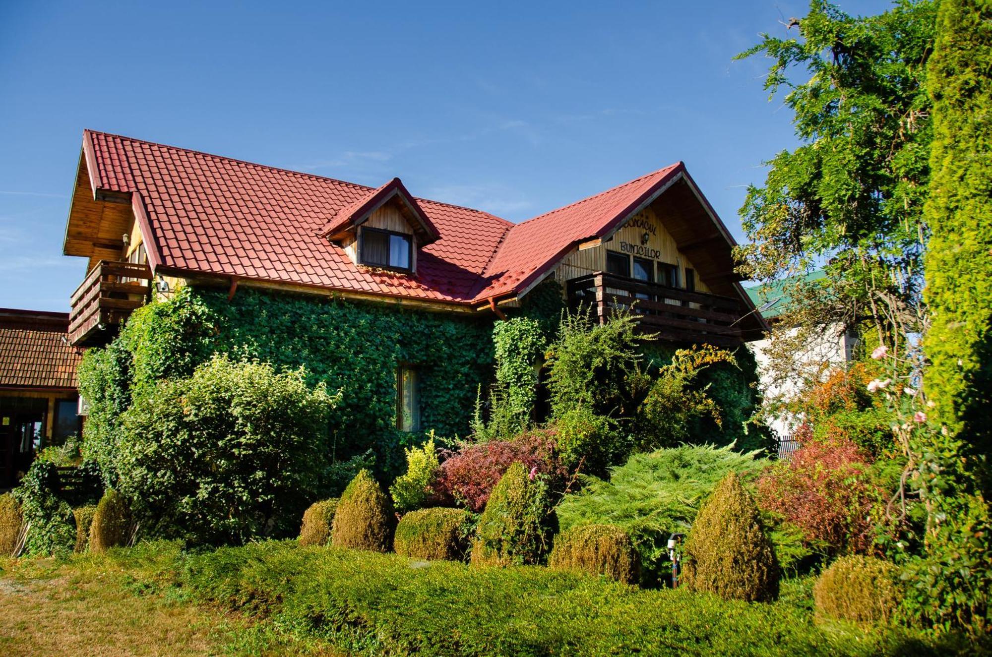 Hotel Conacul Bunicilor Novaci Zewnętrze zdjęcie